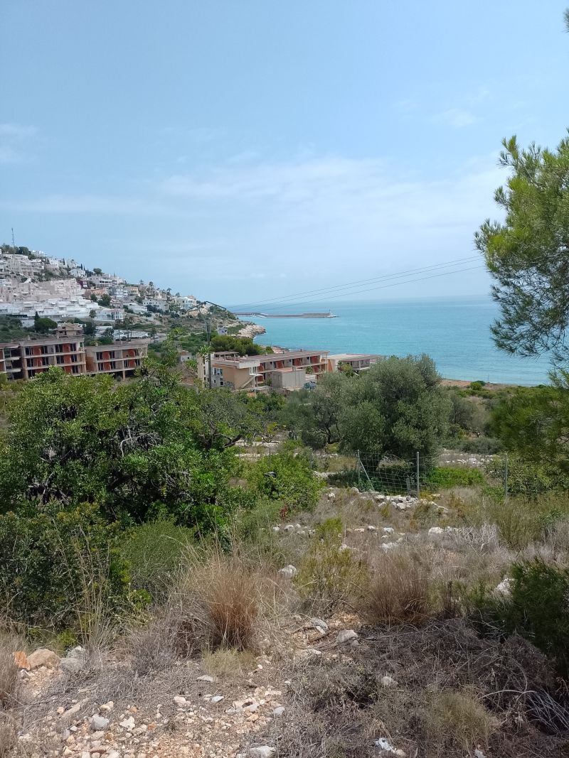 jotaman